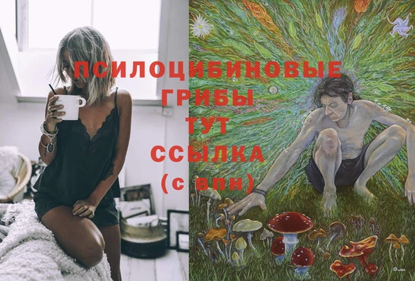ECSTASY Балахна