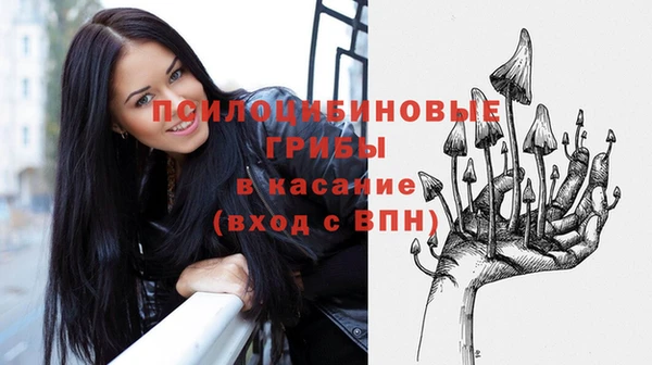 ECSTASY Балахна