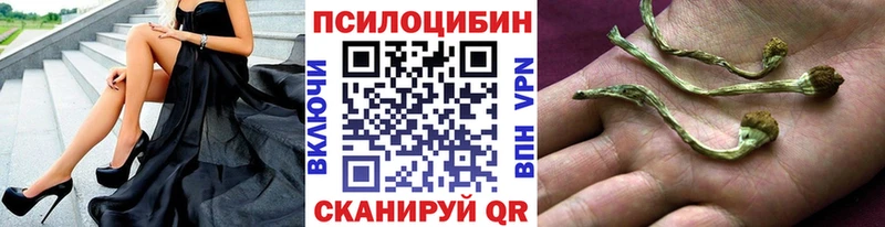 Псилоцибиновые грибы Magic Shrooms Ахтырский