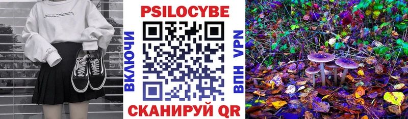 Псилоцибиновые грибы GOLDEN TEACHER сколько стоит Ахтырский